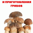 Правила сбора и приготовления грибов - Варнавинский муниципальный округ